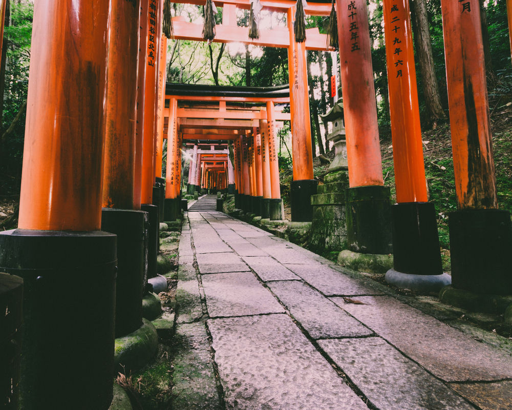Torii gates lining a stone path at Fushimi Inari